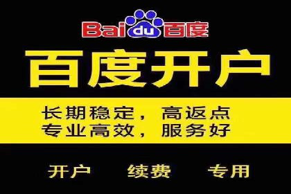 知名SEM运营公司实战案例解析
